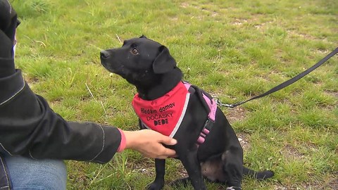 Barrandov pomáhá - Beník